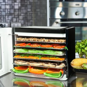 Nebula Food Dehydrator with 6 Stainless Steel Trays, LED Touch Control Design, Adjustable Digital Temperature 35-70C and 48 Hour Timer, Food Dryer for Fruit...