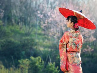 Kimono, Japan's National Day