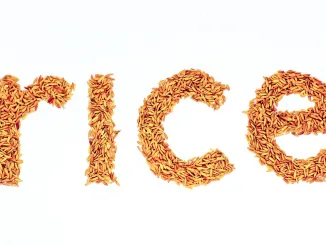 rice character