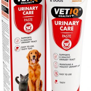 VETIQ Urinary Care Paste Supplement Contains Cranberry For Dogs & Cats, Supports a Healthy Urinary Tract, 100 g (Pack of 1)