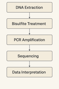 DNA methylation sequence