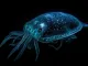 quorum sensing, bioluminescence, deep-sea creature hiding in the darkness, its bioluminescent skin visible only when threatened, created with generative ai