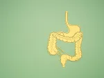 A large intestine shape made from paper on a green background. Treatment and prevention of constipation and diarrhea. Intestinal microflora and probiotics. Top view. Space for text. Healthcare concept, bile acids