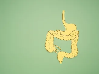 A large intestine shape made from paper on a green background. Treatment and prevention of constipation and diarrhea. Intestinal microflora and probiotics. Top view. Space for text. Healthcare concept, bile acids