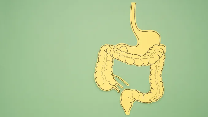 A large intestine shape made from paper on a green background. Treatment and prevention of constipation and diarrhea. Intestinal microflora and probiotics. Top view. Space for text. Healthcare concept, bile acids