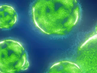 cell cycle, A vibrant depiction of floating green spheres in a cosmic environment, resembling microscopic particles or cells in a glowing, ethereal space.