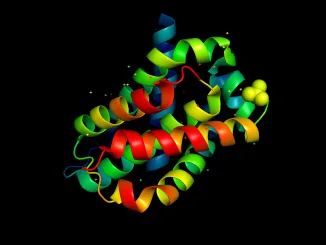 3d structure of the protein molecule. Spatial model of a biological macromolecule. Enzyme kinetics