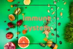 Graphic, Immune system, complement system, T cells, thymus