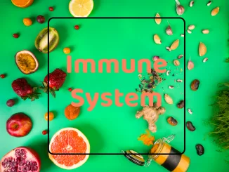 Graphic, Immune system, complement system, T cells, thymus