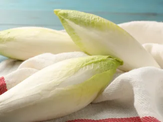 Fresh raw Belgian endives (chicory) on light blue table, closeup. The basis of chicons gratin.