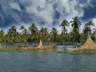 Chinese fishing nets. Vembanad Lake, Kerala, South India