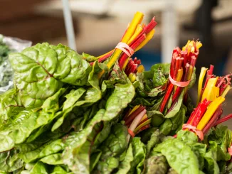 Chard lettuce on a table at the farmers market in Knoxville Tennessee. Swiss Chard & Bacon Lardon Pasta