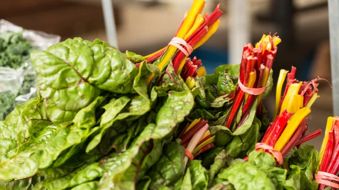 Chard lettuce on a table at the farmers market in Knoxville Tennessee. Swiss Chard & Bacon Lardon Pasta