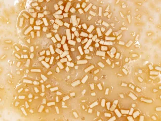 Yeast in dough as background. Macro. Umami in Yeast Cells, yeasts as postbiotics