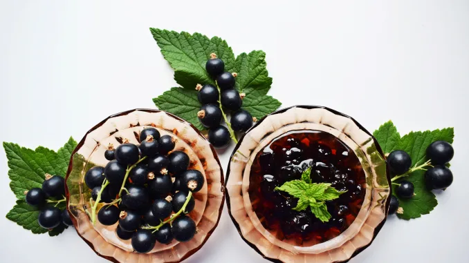 Ripe, sweet black currant on white background. Blackcurrant jam