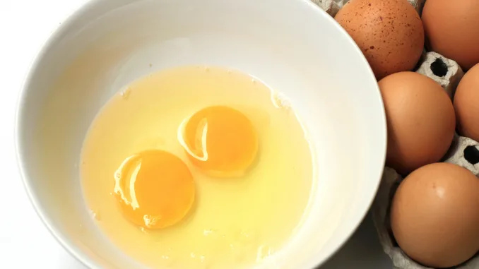 Raw egg cup on white background, egg yolk