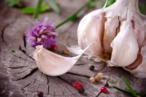 Fresh herbs and spices on wooden background