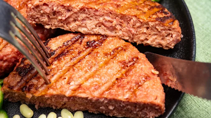 Source of fibre plant based vegan soya protein grilled burgers, meat free healthy food close up. Prepared using high moisture extrusion