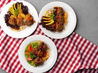Cooked meat with fresh vegetable salad (garnishes) on a white plate, close up