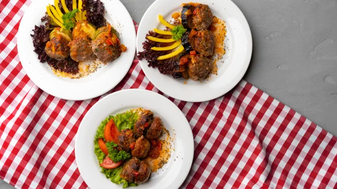 Cooked meat with fresh vegetable salad (garnishes) on a white plate, close up