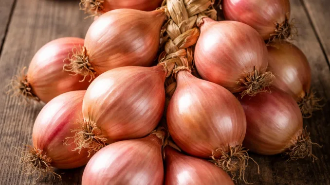 Roscoff onions on a wooden board