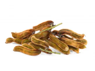 Mucuna pruriens or velvet bean isolated on white background, tropical herbs