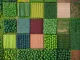 Aerial view of a vegetable garden, aerial view of a vegetable garden. Opportunity crops.