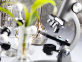 Laboratory. Slightly out of focus. Living laboratory