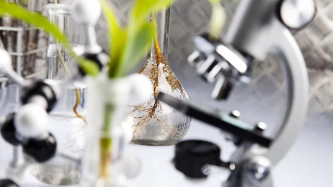 Laboratory. Slightly out of focus. Living laboratory