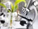 Laboratory. Slightly out of focus. Living laboratory